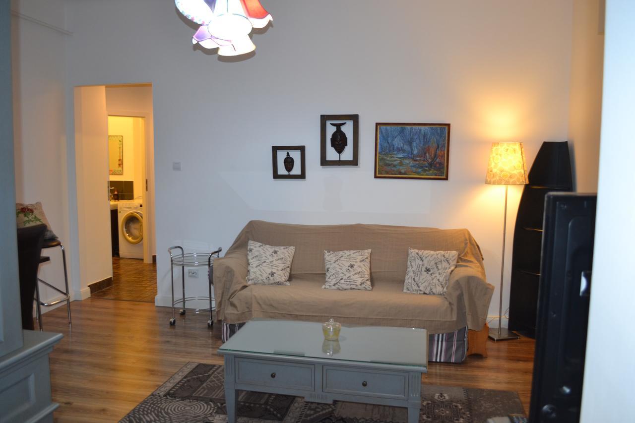 Victoria Plaza Two Bdr Apt Apartment Bucharest Luaran gambar